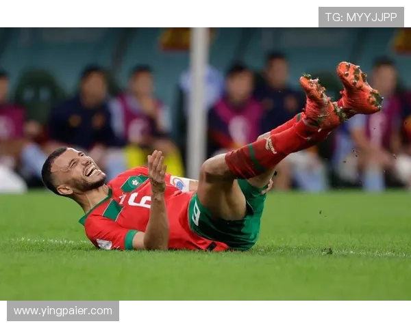 开云完美体育真人手机版最新版本带来更丰富的功能提升整体操作体验