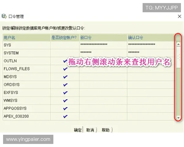 问鼎足球官网网址官方平台登录流程详解及常见问题解决方案